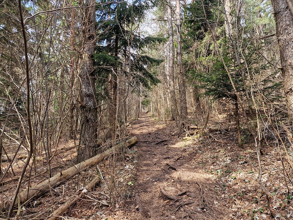 Slivnica, 22. 3. 2026