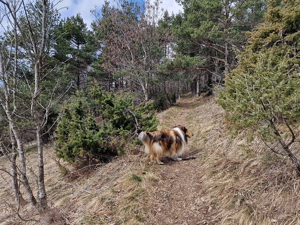 Slivnica, 22. 3. 2026