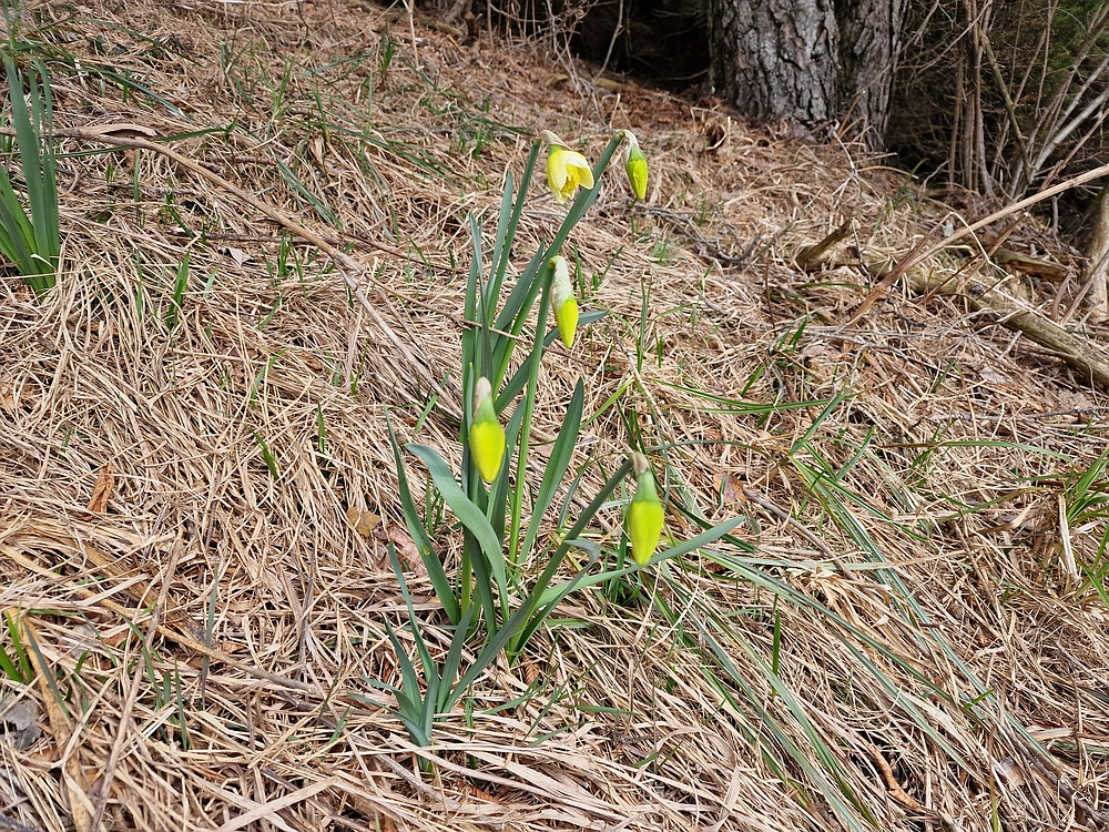 Slivnica, 22. 3. 2026