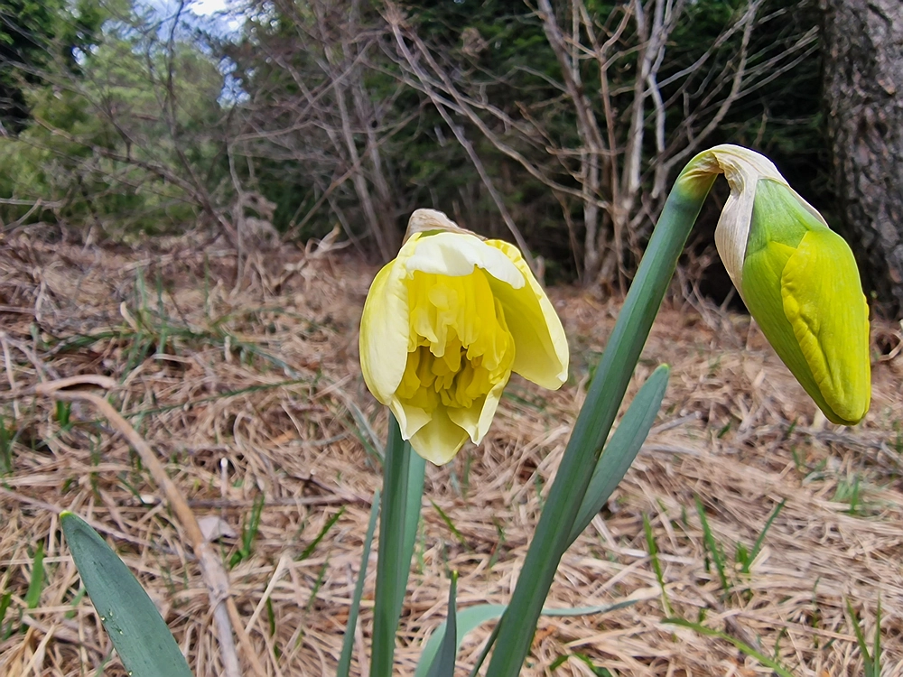 Slivnica, 22. 3. 2026