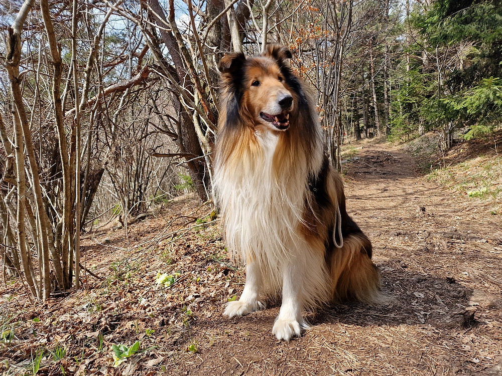 Slivnica, 22. 3. 2026