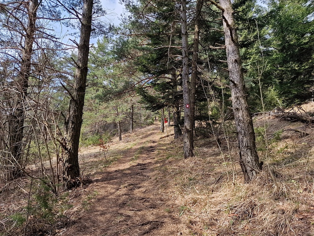 Slivnica, 22. 3. 2026