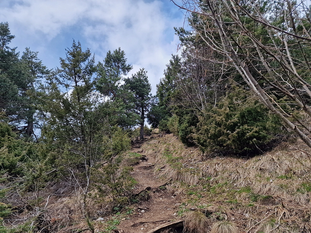 Slivnica, 22. 3. 2026