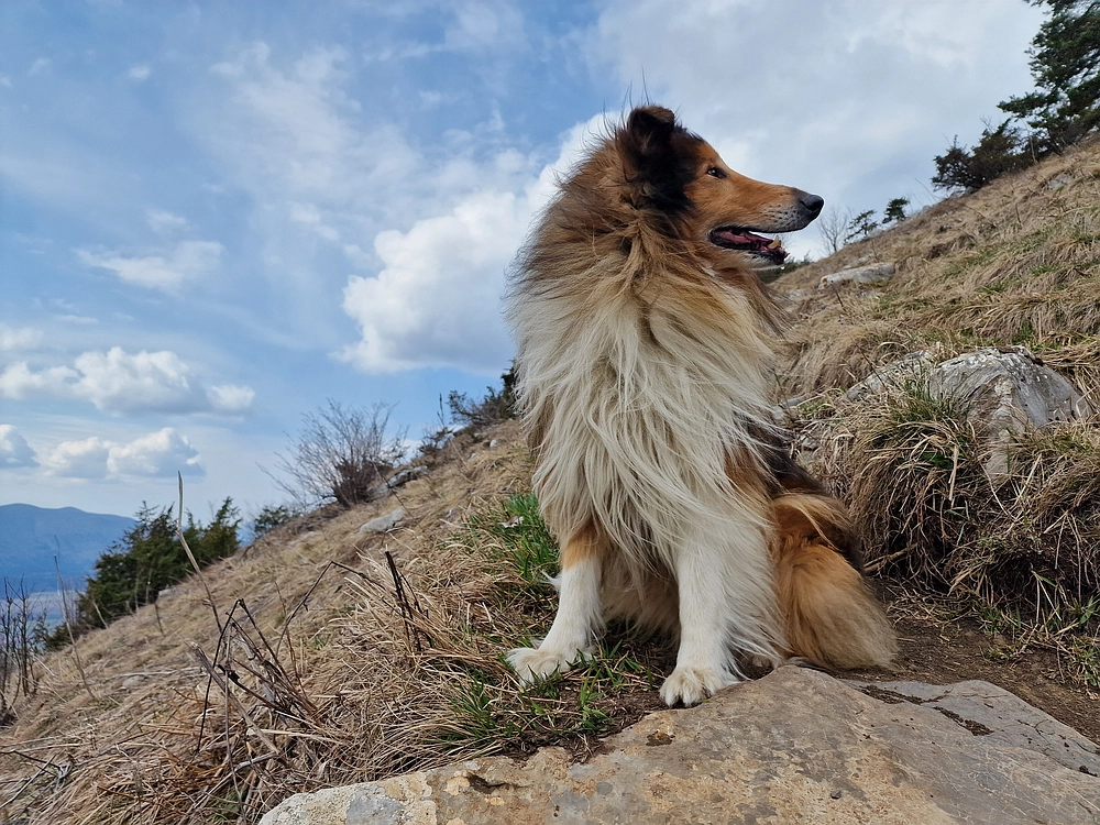 Slivnica, 22. 3. 2026