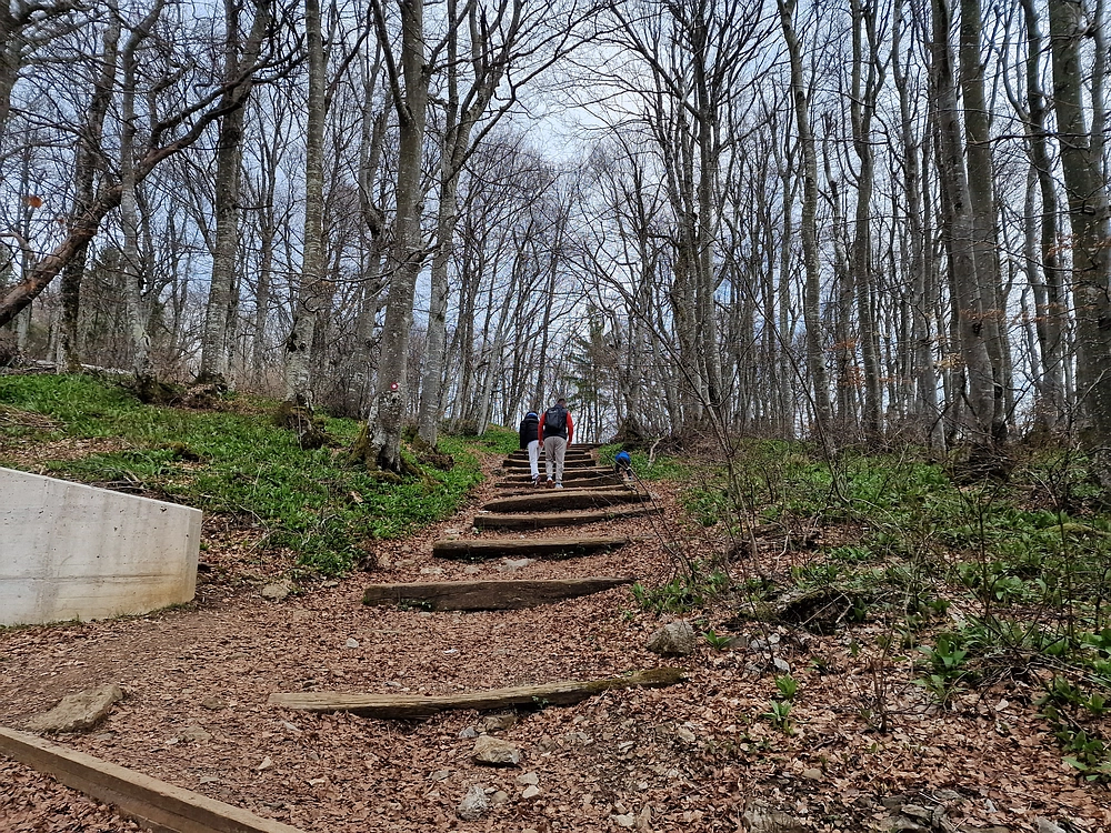 Slivnica, 22. 3. 2026