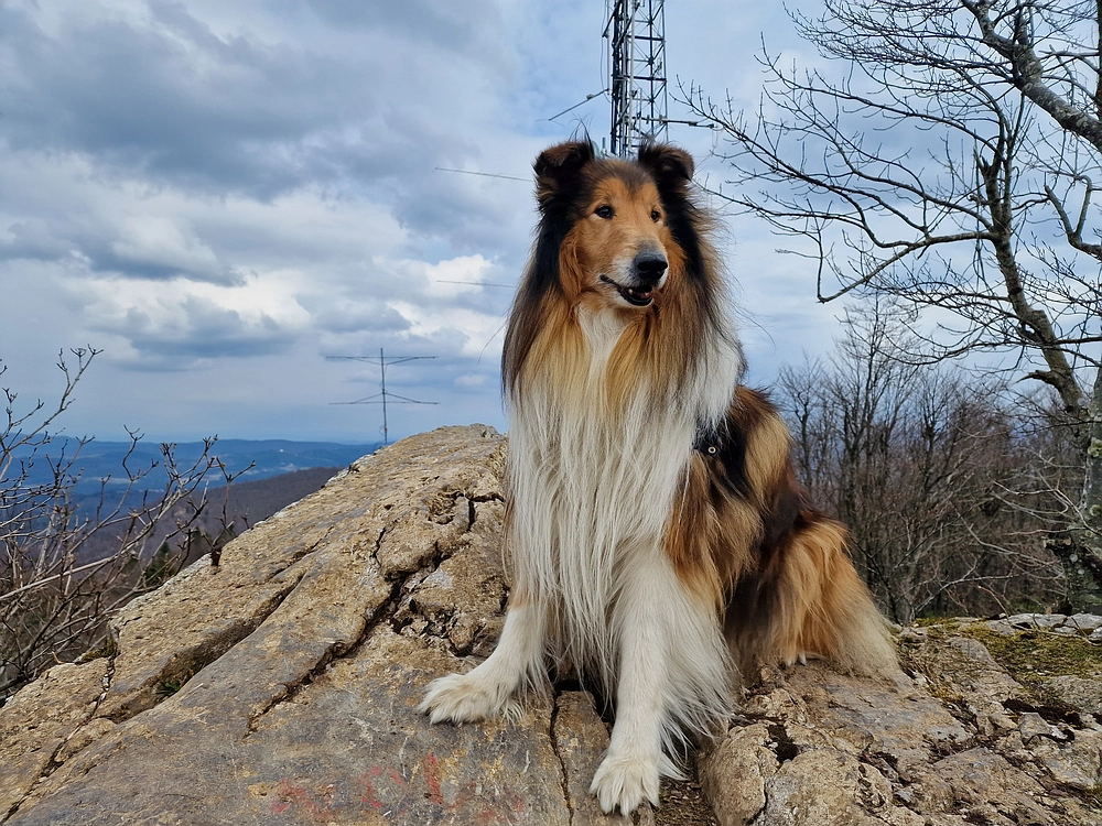 Slivnica, 22. 3. 2026