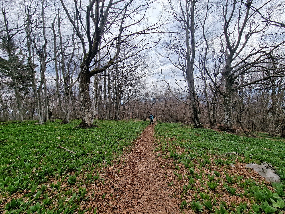 Slivnica, 22. 3. 2026