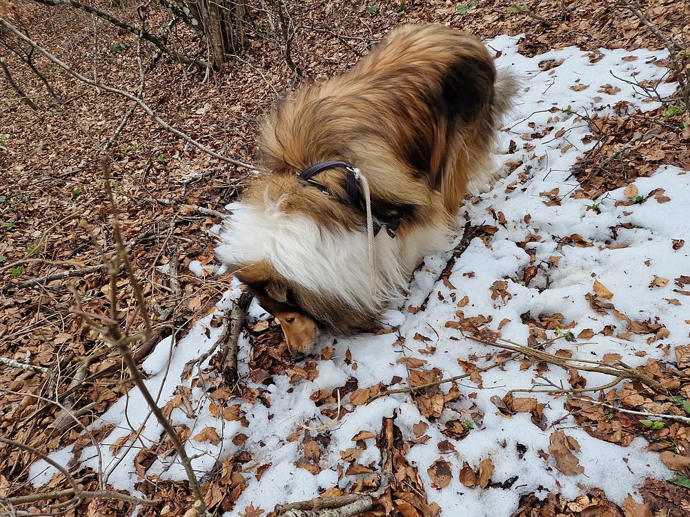 Slivnica, 22. 3. 2026