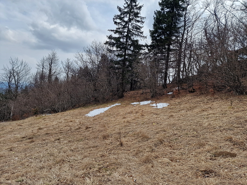 Slivnica, 22. 3. 2026