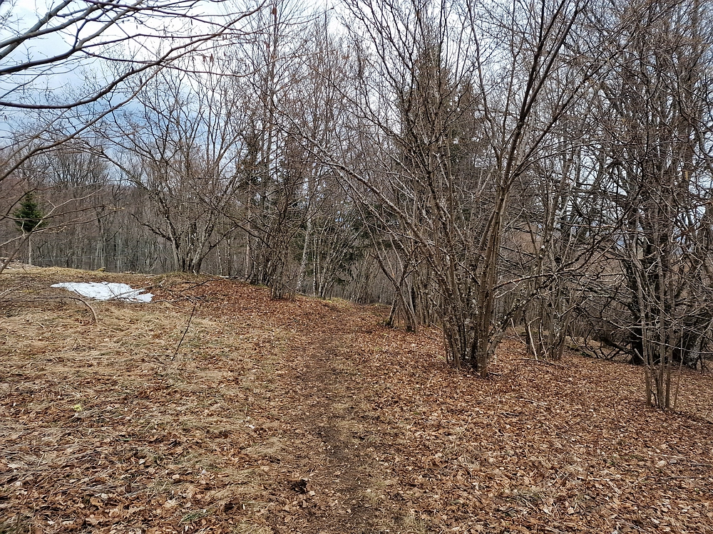 Slivnica, 22. 3. 2026