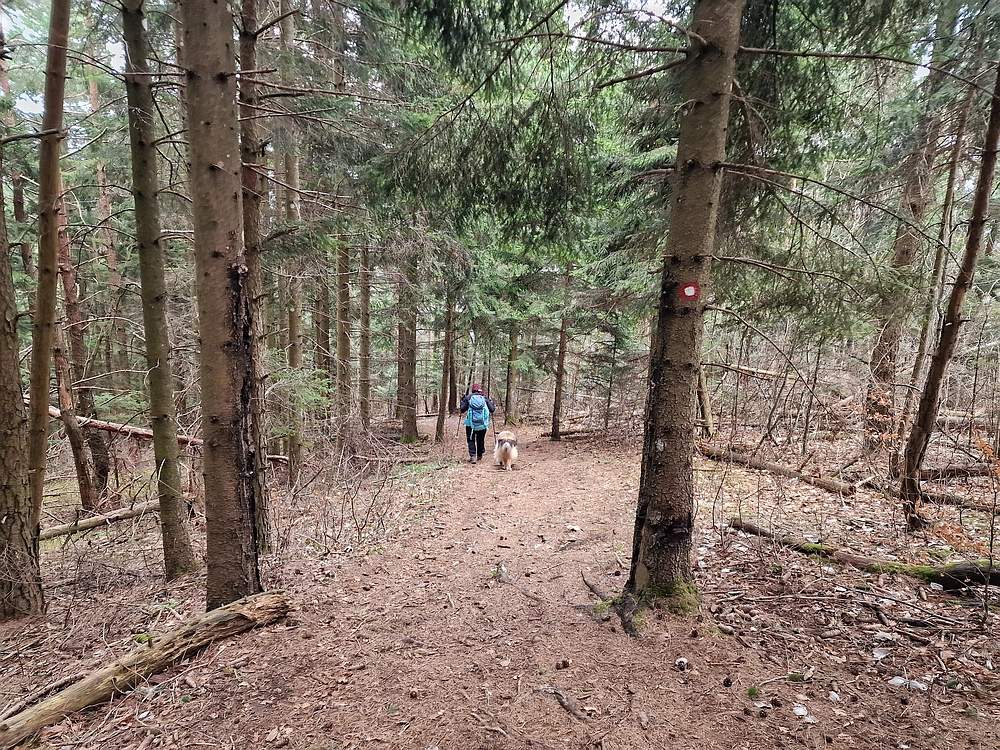 Slivnica, 22. 3. 2026