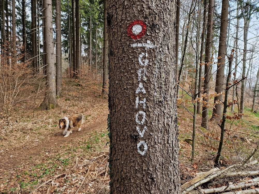 Slivnica, 22. 3. 2026