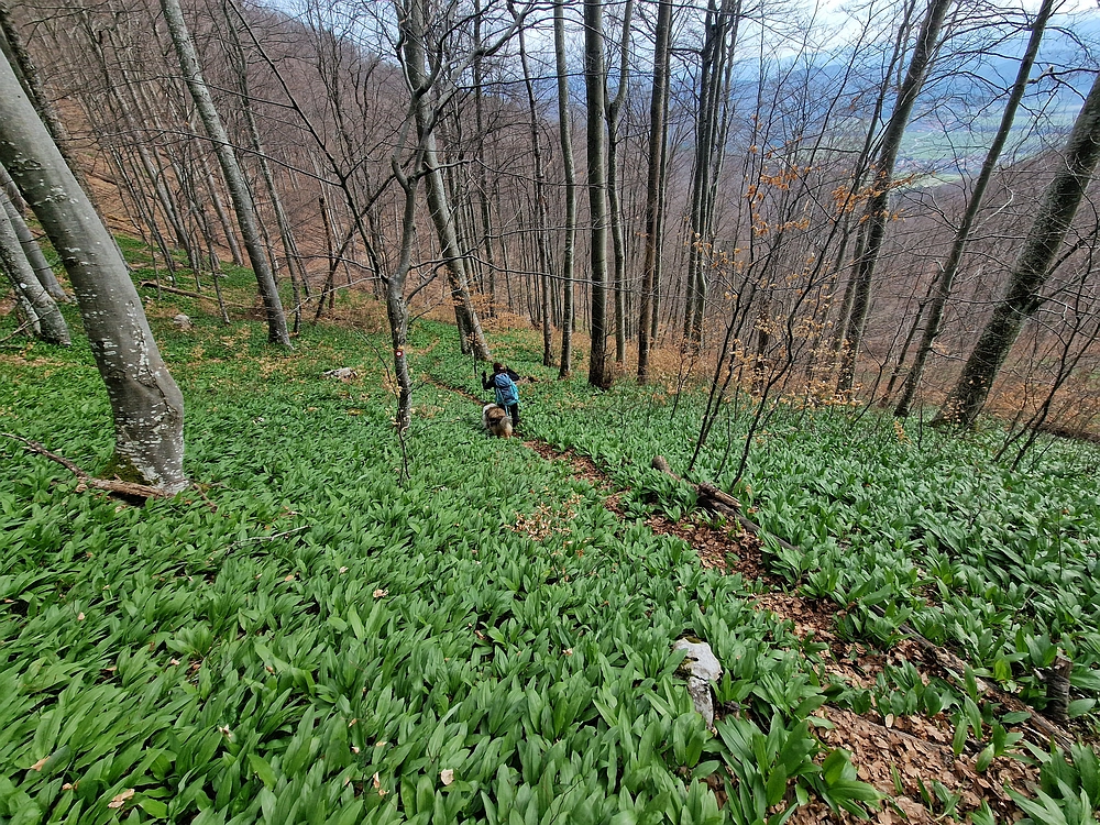 Slivnica, 22. 3. 2026