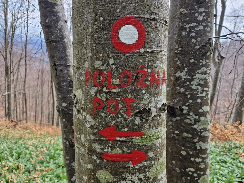 Slivnica, 22. 3. 2026