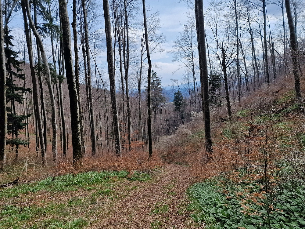 Slivnica, 22. 3. 2026