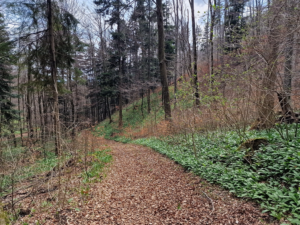 Slivnica, 22. 3. 2026