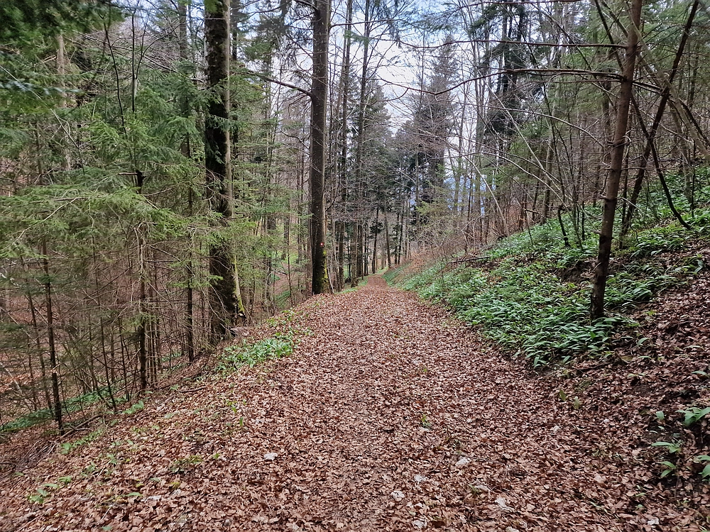 Slivnica, 22. 3. 2026