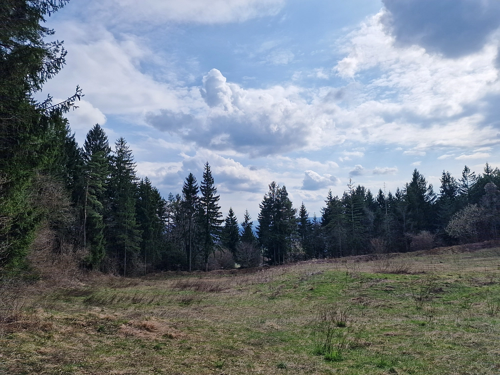 Slivnica, 22. 3. 2026