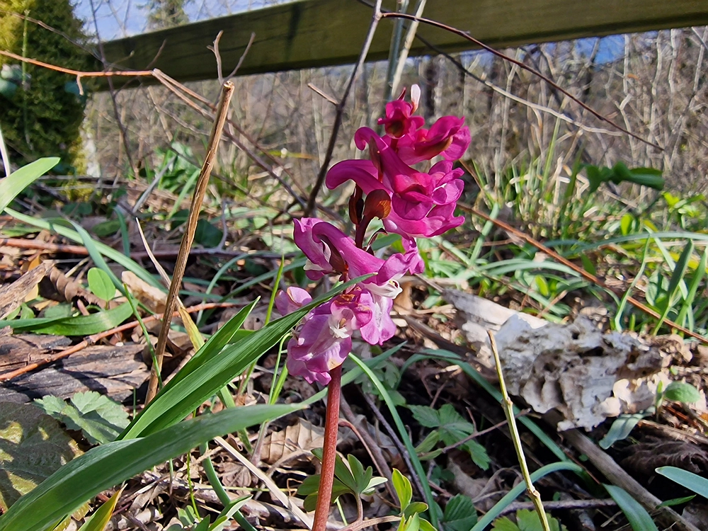 Slivnica, 22. 3. 2026