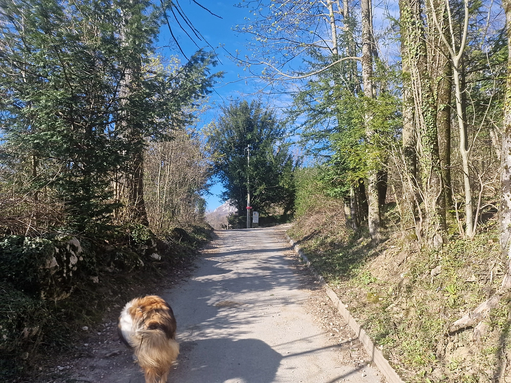 Suhi vrh (Nanos), 4. 4. 2026