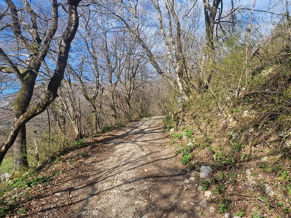 Suhi vrh (Nanos), 4. 4. 2026