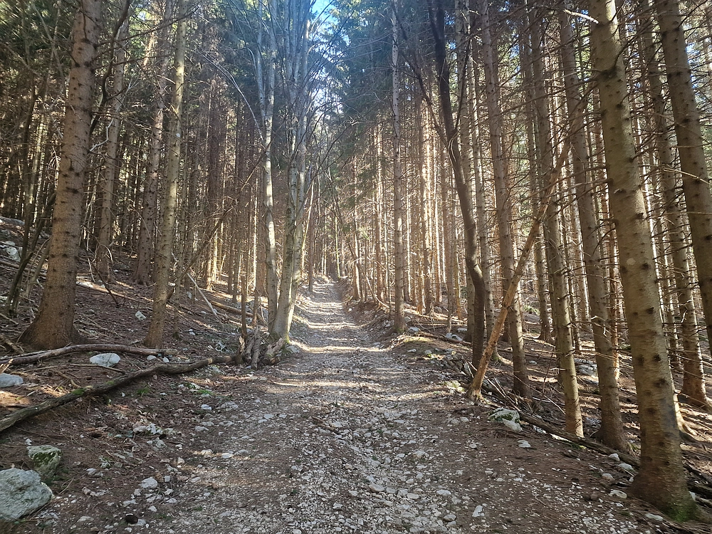 Suhi vrh (Nanos), 4. 4. 2026