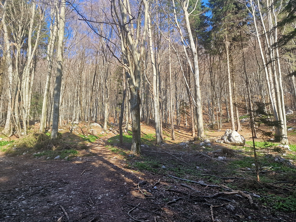 Suhi vrh (Nanos), 4. 4. 2026