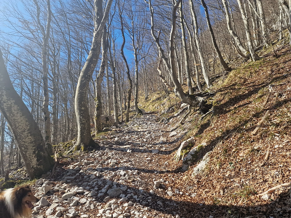 Suhi vrh (Nanos), 4. 4. 2026