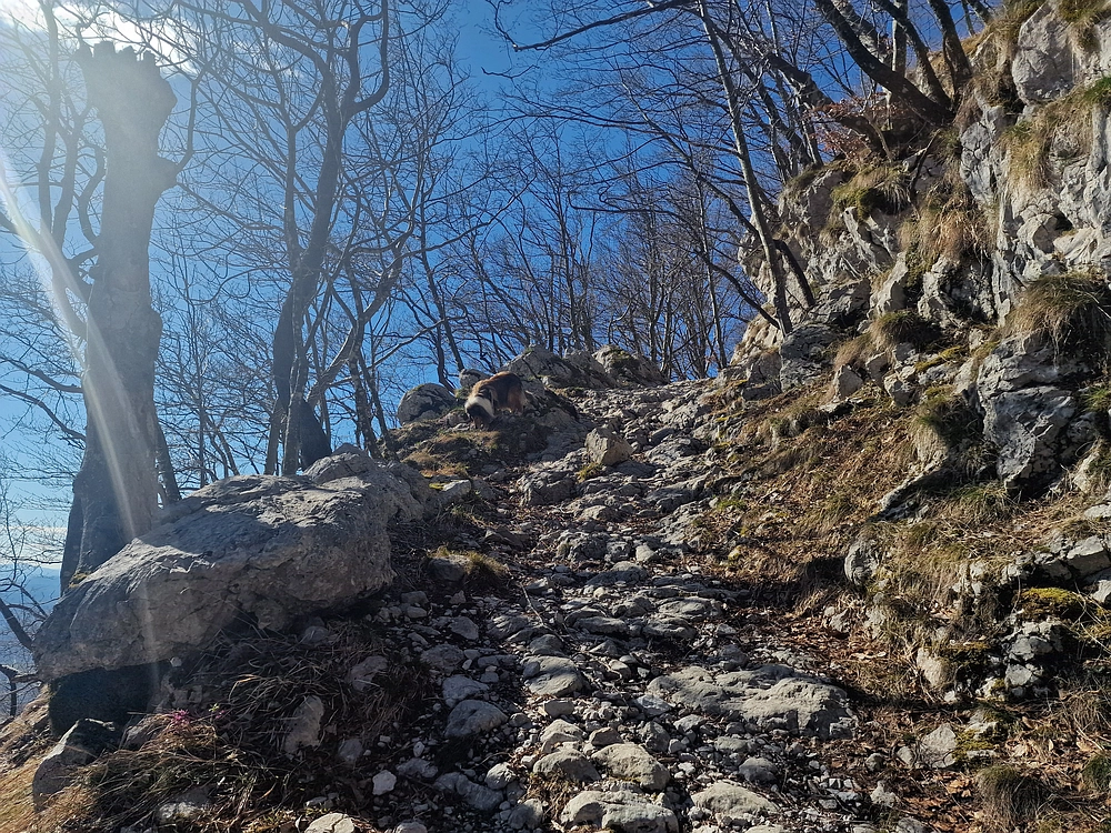 Suhi vrh (Nanos), 4. 4. 2026