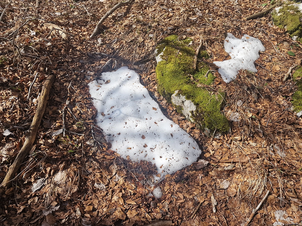 Suhi vrh (Nanos), 4. 4. 2026