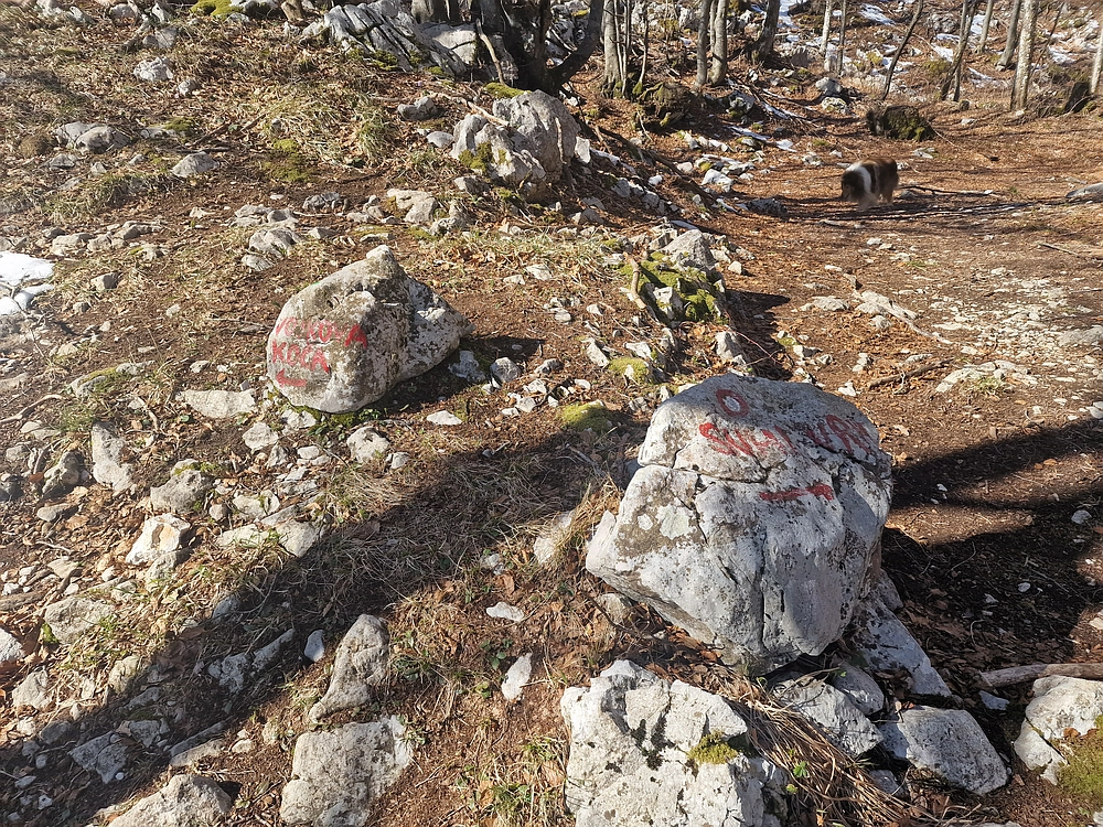 Suhi vrh (Nanos), 4. 4. 2026