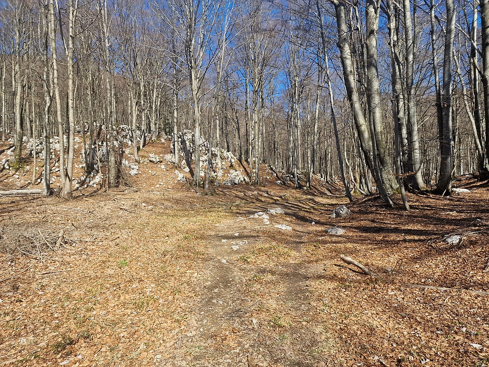 Suhi vrh (Nanos), 4. 4. 2026