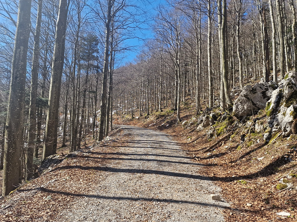 Suhi vrh (Nanos), 4. 4. 2026