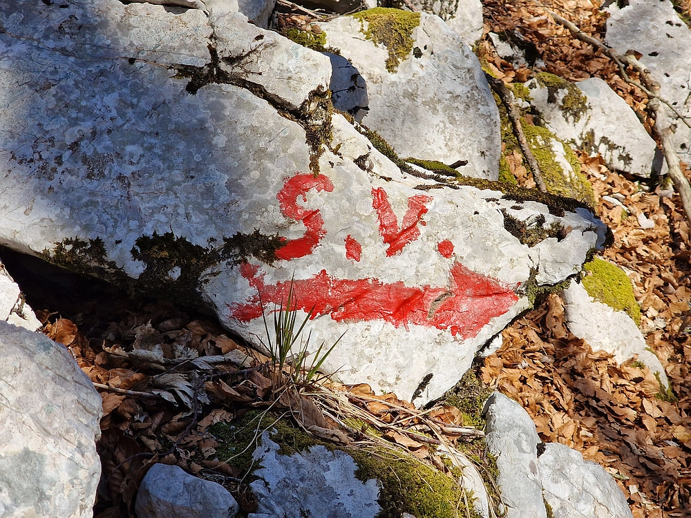 Suhi vrh (Nanos), 4. 4. 2026