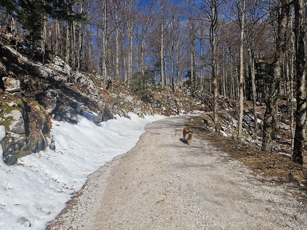 Suhi vrh (Nanos), 4. 4. 2026