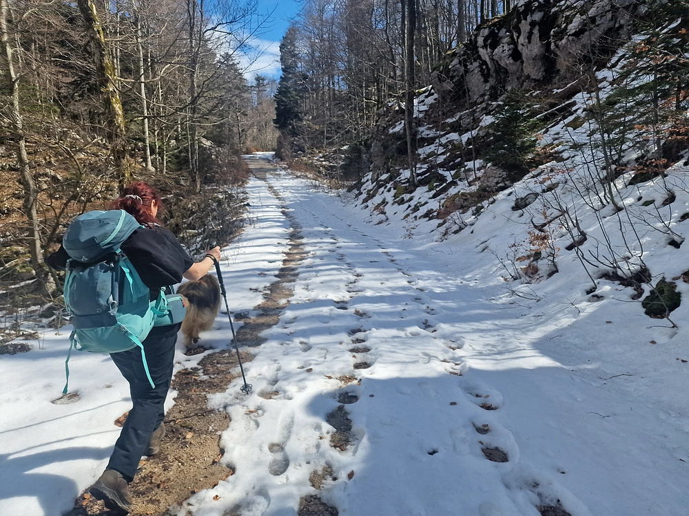 Suhi vrh (Nanos), 4. 4. 2026