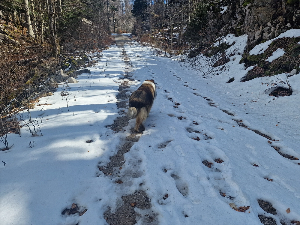 Suhi vrh (Nanos), 4. 4. 2026