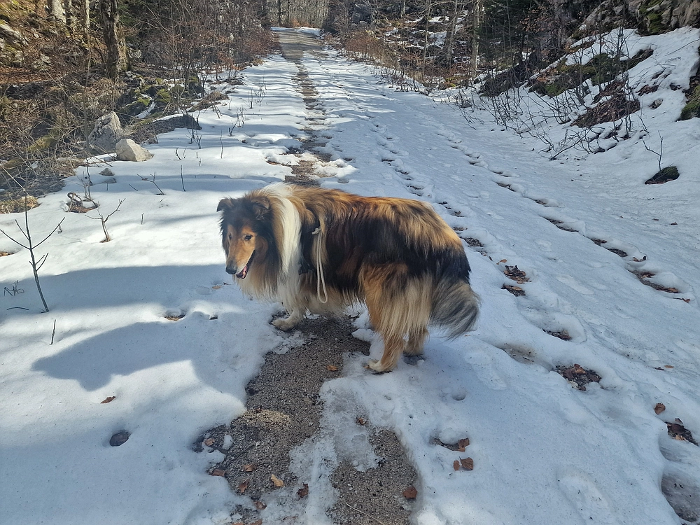 Suhi vrh (Nanos), 4. 4. 2026