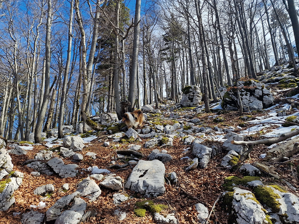 Suhi vrh (Nanos), 4. 4. 2026