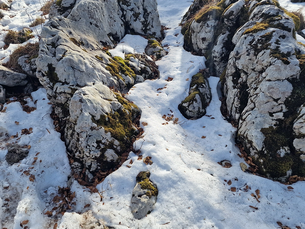 Suhi vrh (Nanos), 4. 4. 2026