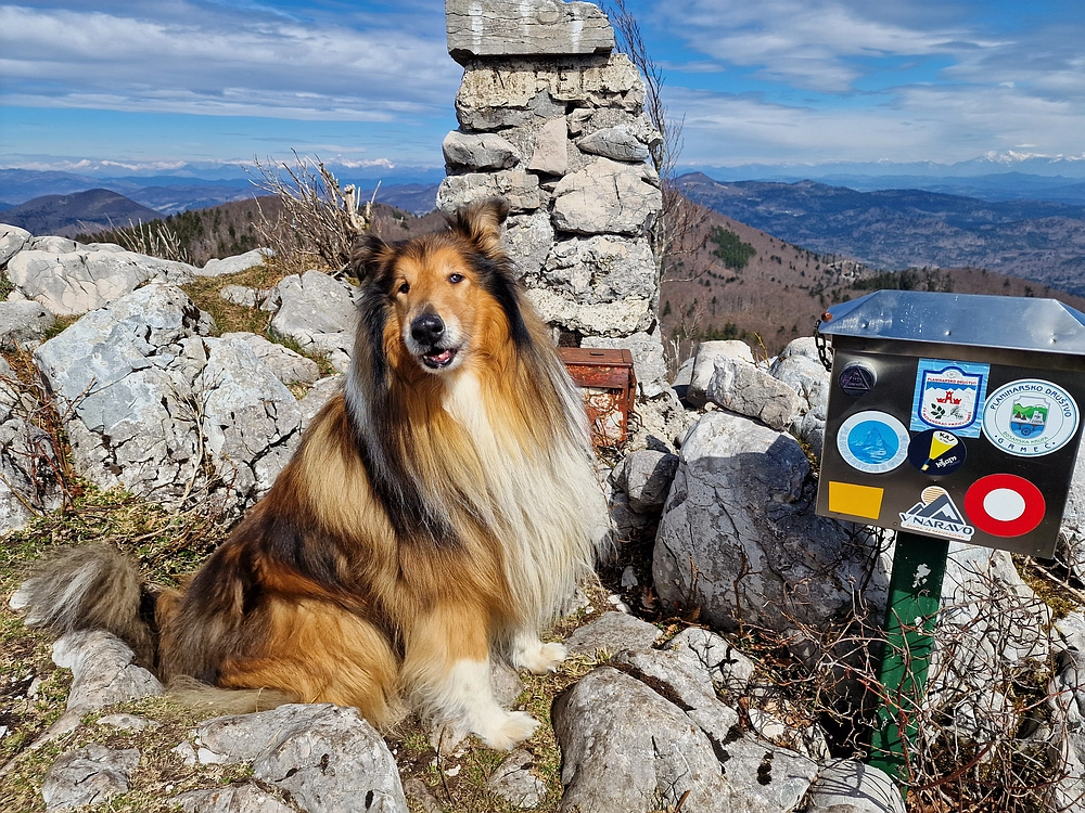 Suhi vrh (Nanos), 4. 4. 2026