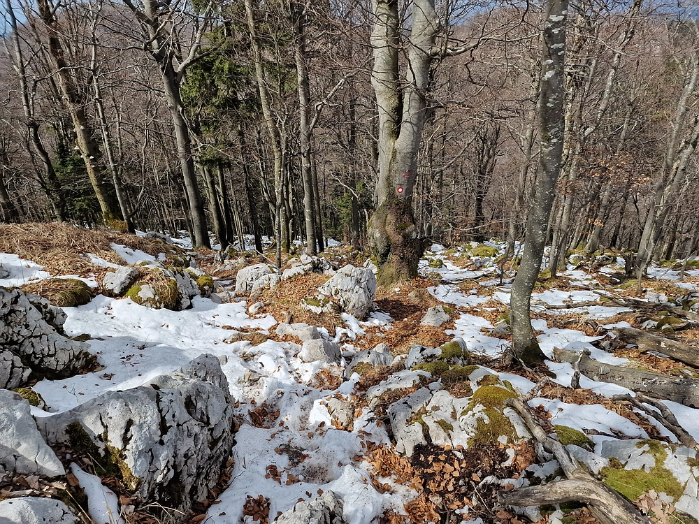 Suhi vrh (Nanos), 4. 4. 2026