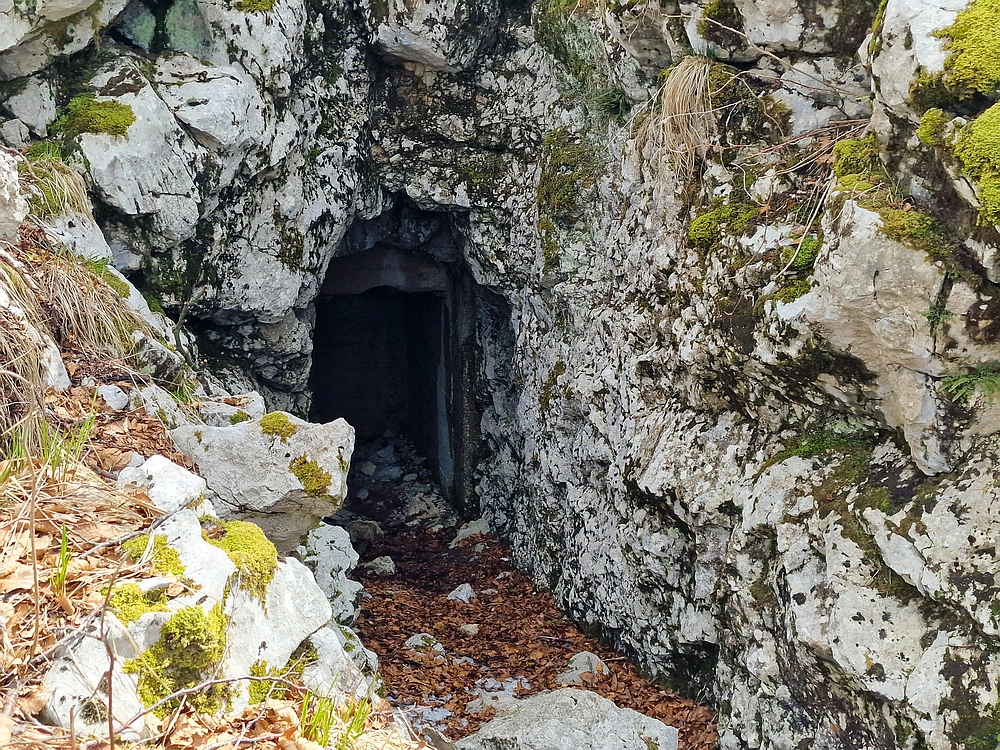 Suhi vrh (Nanos), 4. 4. 2026