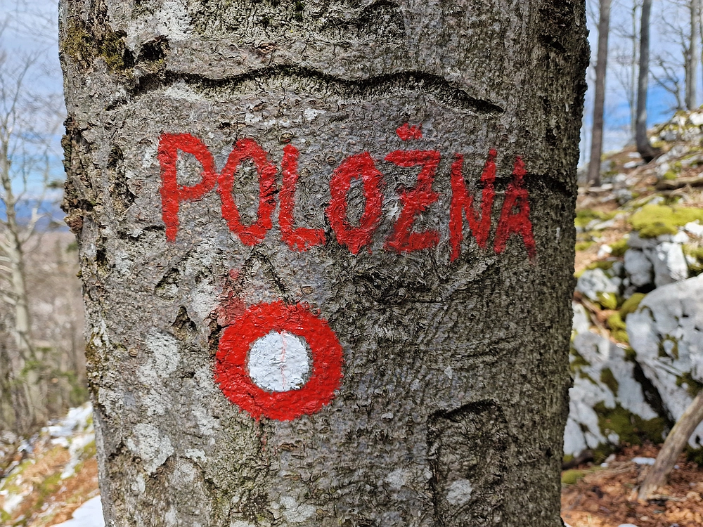 Suhi vrh (Nanos), 4. 4. 2026