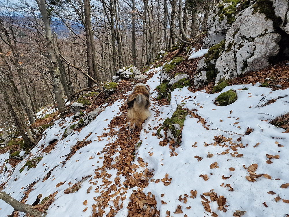 Suhi vrh (Nanos), 4. 4. 2026