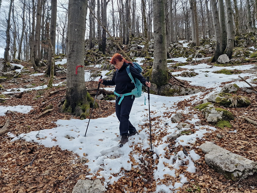 Suhi vrh (Nanos), 4. 4. 2026