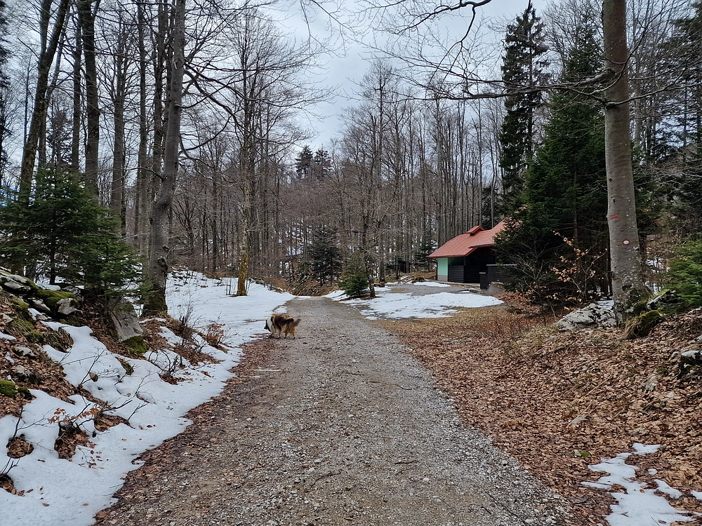 Suhi vrh (Nanos), 4. 4. 2026