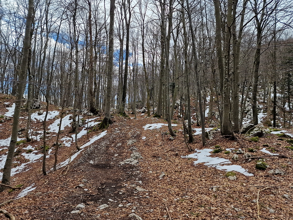 Suhi vrh (Nanos), 4. 4. 2026