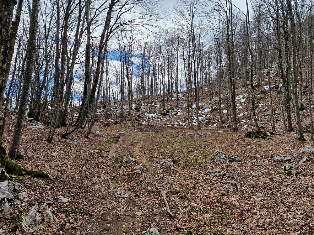 Suhi vrh (Nanos), 4. 4. 2026