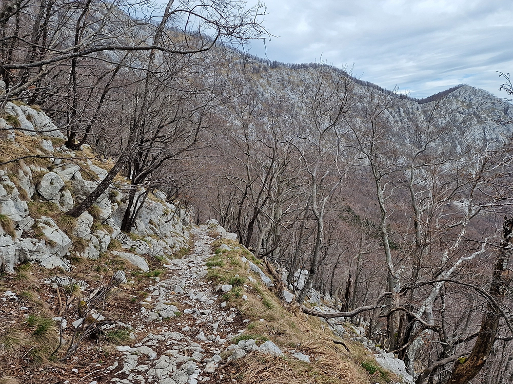 Suhi vrh (Nanos), 4. 4. 2026